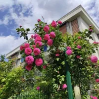 Villa in Turkey, Istanbul, 230 sq.m.