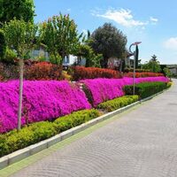 Villa in Turkey, Istanbul