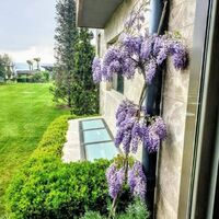 Villa in Turkey, Istanbul