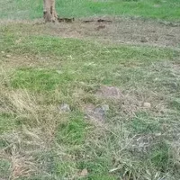 Land plot in Turkey, Istanbul, 700 sq.m.