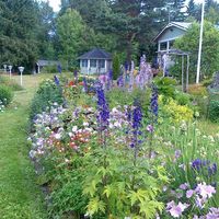 House in Finland, Pori, 70 sq.m.