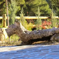 Вилла в Турции, Villa, 400 кв.м.