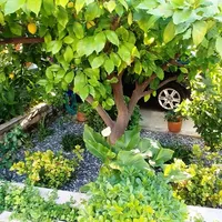 Villa in Turkey, Villa, 180 sq.m.