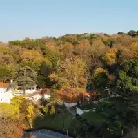 Villa in Turkey, Istanbul, 200 sq.ft.