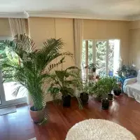 Villa in Turkey, Istanbul, 500 sq.ft.
