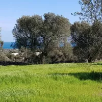 Земельный участок в Турции, Стамбул, 1568 кв.м.