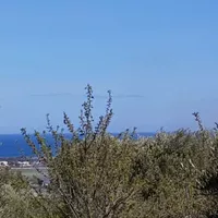 Земельный участок в Турции, Стамбул, 1568 кв.м.