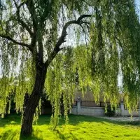 Вилла в Турции, Villa, 180 кв.фт.