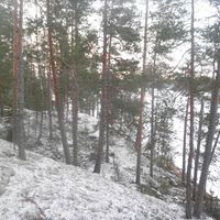Land plot in Finland, Sulkava