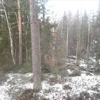 Land plot in Finland, Sulkava