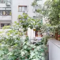 Apartment in Turkey, Istanbul, 161 sq.ft.