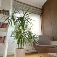 Apartment in Turkey, Istanbul, 180 sq.ft.