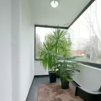 Apartment in Turkey, Istanbul, 180 sq.ft.