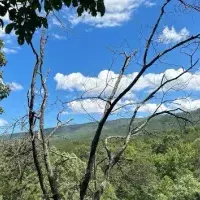 Land plot in Turkey, Istanbul, 2695 sq.ft.