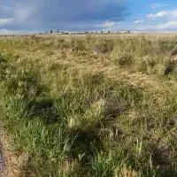 Земельный участок в Турции, Стамбул, 3095 кв.фт.
