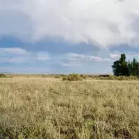 Земельный участок в Турции, Стамбул, 3095 кв.фт.