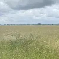 Земельный участок в Турции, Стамбул, 571 кв.фт.