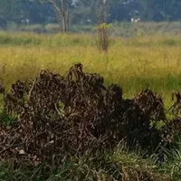 Land plot in Turkey, Istanbul, 2470 sq.m.