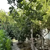 Villa in Turkey, Villa, 90 sq.ft.
