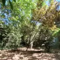 Villa in Turkey, Istanbul, 450 sq.ft.