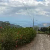 Land plot in Turkey, Istanbul, 400 sq.ft.
