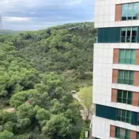 Apartment in Turkey, Istanbul, 171 sq.ft.