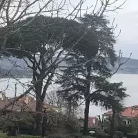 Villa in Turkey, Istanbul, 500 sq.ft.