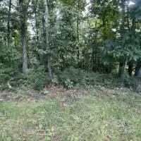 Land plot in Turkey, Istanbul, 580 sq.ft.