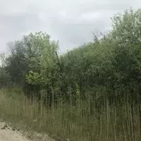 Земельный участок в Турции, Стамбул, 696 кв.фт.