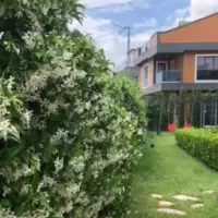 Вилла в Турции, Стамбул, 550 кв.фт.