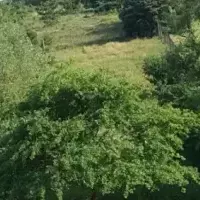 Земельный участок в Турции, Стамбул, 931 кв.фт.
