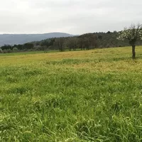 Земельный участок в Турции, Стамбул, 2300 кв.м.