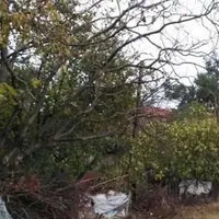 Land plot in Turkey, Istanbul, 10156 sq.ft.