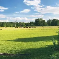 Земельный участок в Турции, Стамбул, 970 кв.м.