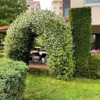 Apartment in Turkey, Istanbul, 235 sq.ft.