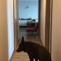 Apartment in Turkey, Istanbul, 165 sq.ft.