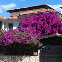 Вилла в Турции, Villa, 190 кв.фт.