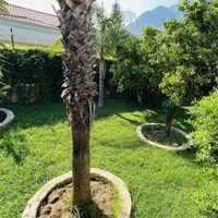 Villa in Turkey, Villa, 280 sq.ft.