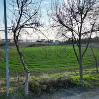 Land plot in Turkey, Istanbul, 5334 sq.m.