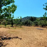 Земельный участок в Турции, Land, 1900 кв.м.