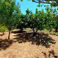 Земельный участок в Турции, Land, 1900 кв.м.