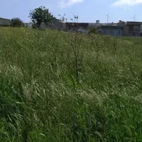 Land plot in Turkey, Istanbul, 1004 sq.m.