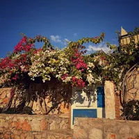 Villa in Turkey, Villa, 323 sq.m.