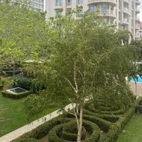 Apartment in Turkey, Istanbul, 125 sq.ft.