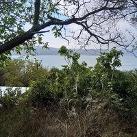 Land plot in Turkey, Istanbul, 3247 sq.m.