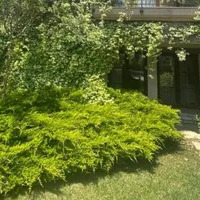Вилла в Турции, Стамбул, 500 кв.фт.