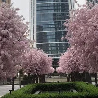 Апартаменты в Турции, Стамбул, 137 кв.фт.