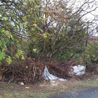 Земельный участок в Турции, Стамбул, 10156 кв.м.