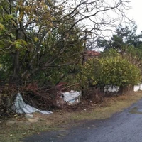 Земельный участок в Турции, Стамбул, 10156 кв.м.