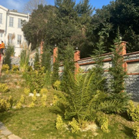 Villa in Turkey, Istanbul, 620 sq.m.